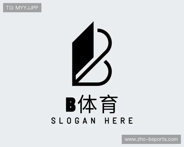 领略B体育官方网站